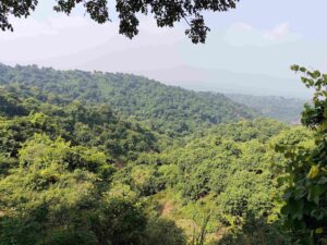 Peaceful Places Near Chandigarh morni hills view