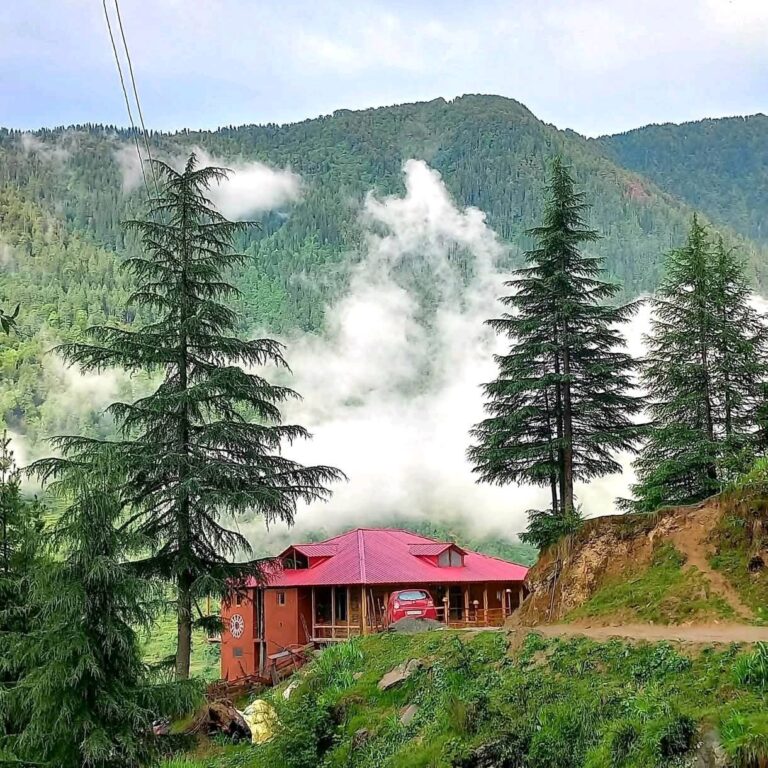 Discover the Hidden Beauty of Sainj Valley, Kullu – A Journey Into Nature’s Heart