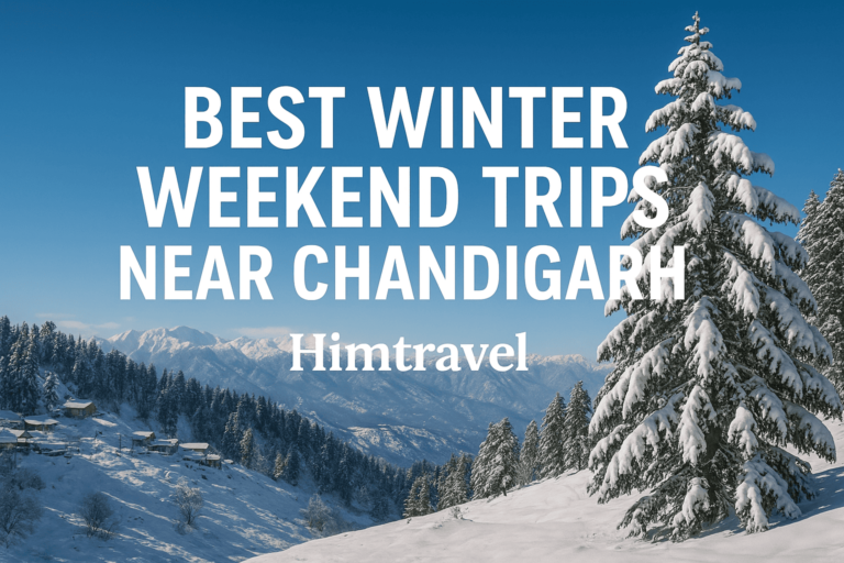 Best Winter Weekend Trips Near Chandigarh