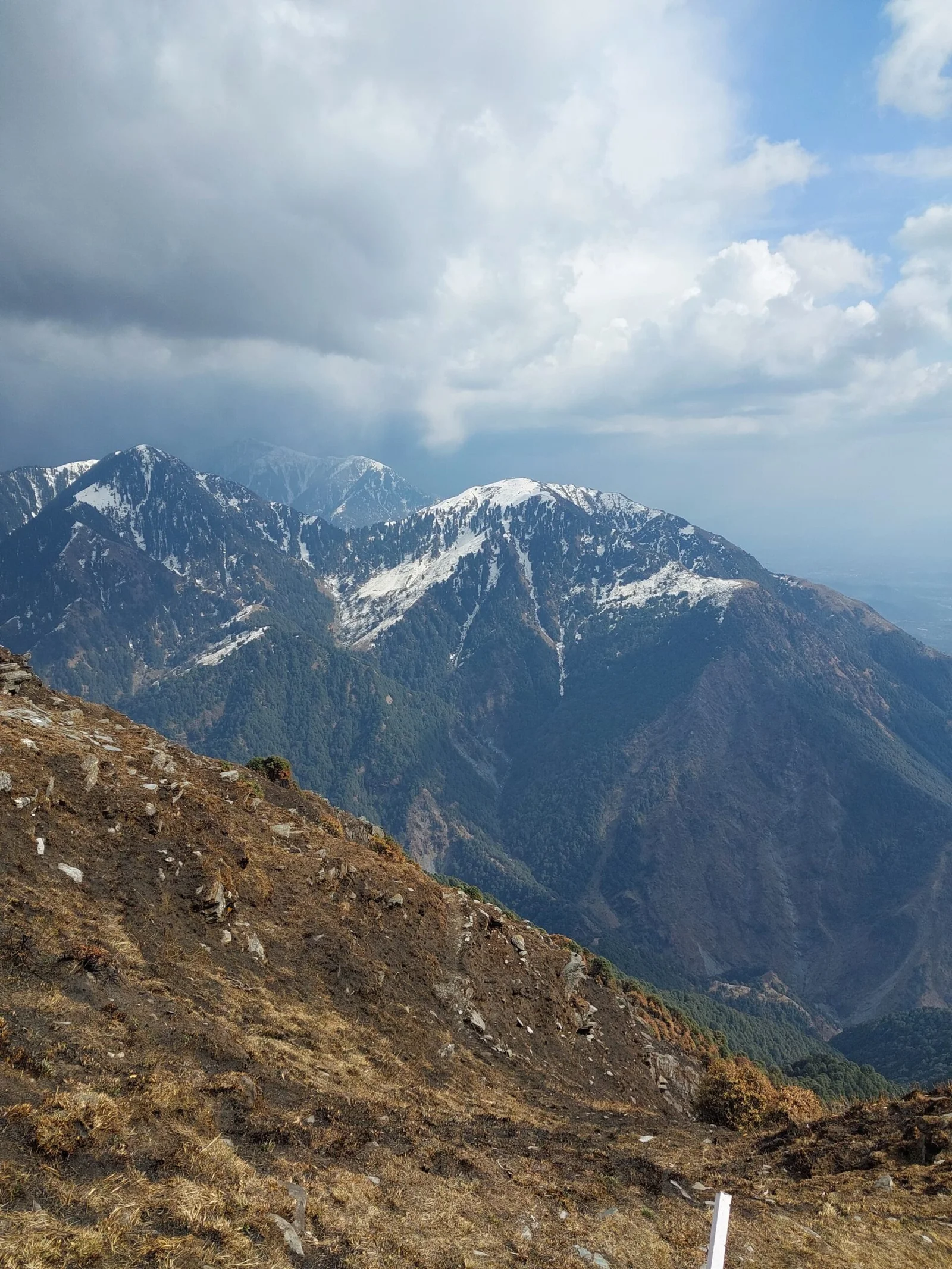 Best Treks in Himachal Pradesh (April to June)