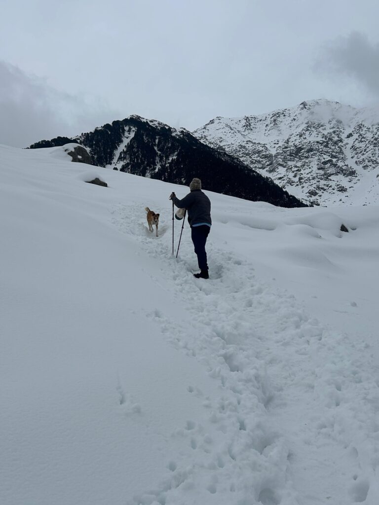 Traveler trekking towards Snowline Lake through the scenic Dhauladhar mountains near Triund in Himachal Pradesh.