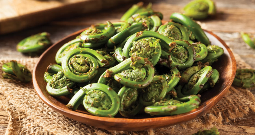Summer Foods of Himachal Pradesh - Lingdi Vegetable