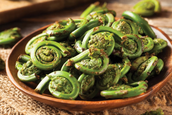Summer Foods of Himachal Pradesh - Lingdi Vegetable